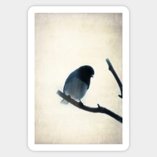 chickadee Sticker